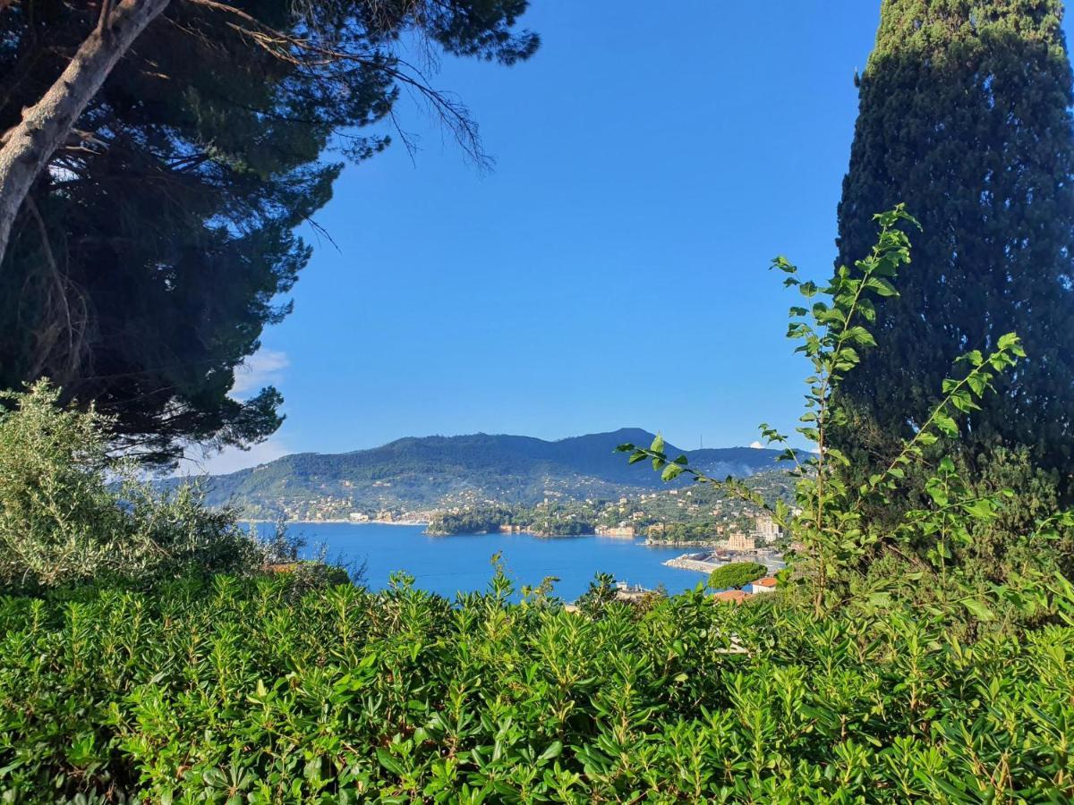 Agave Daire Zoagli Dış mekan fotoğraf