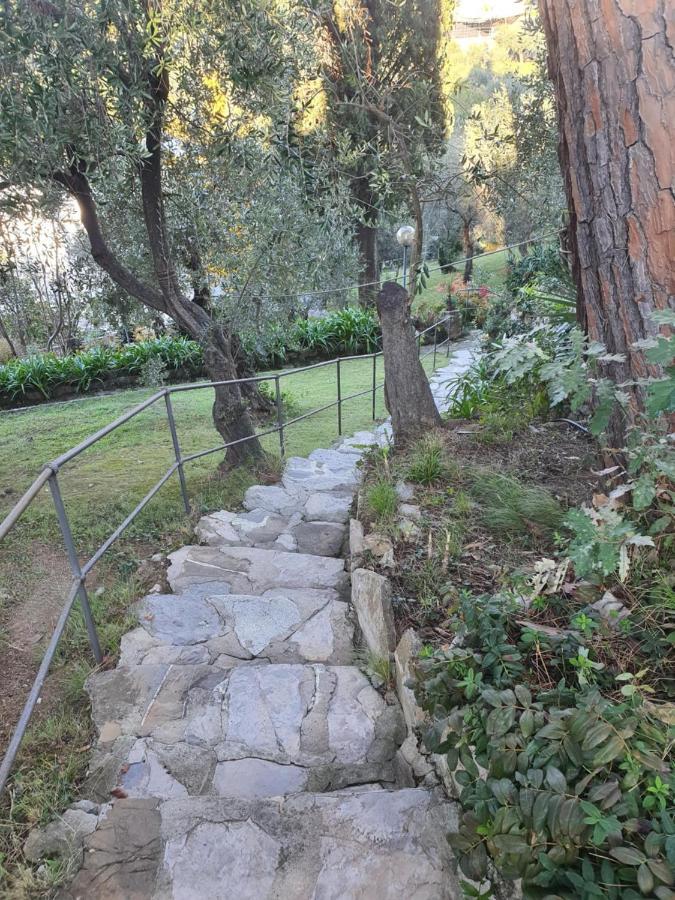 Agave Daire Zoagli Dış mekan fotoğraf