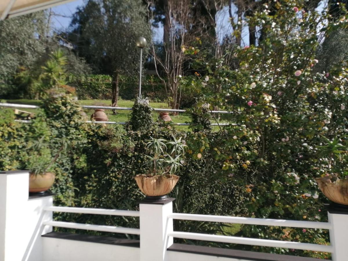 Agave Daire Zoagli Dış mekan fotoğraf